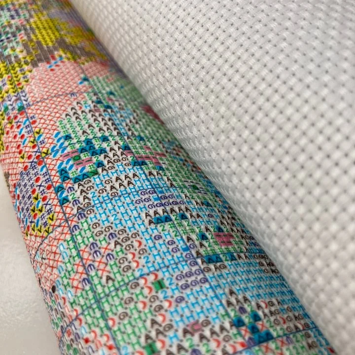 [CC4223 - Lontra com Brincos d - Cross Stitch Stamped Kits Beginners avaliação e preço